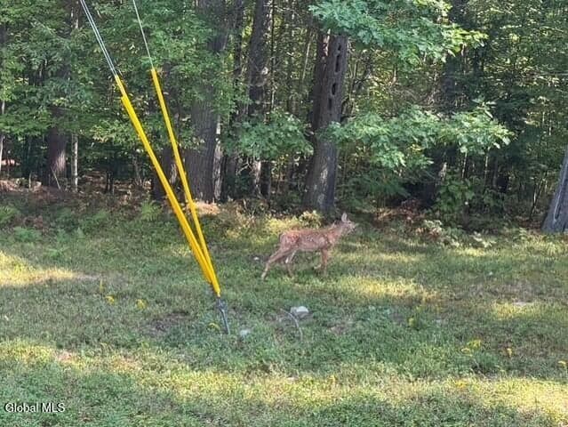 L8 Wrights Farm Road, Bolton, NY, photo 5