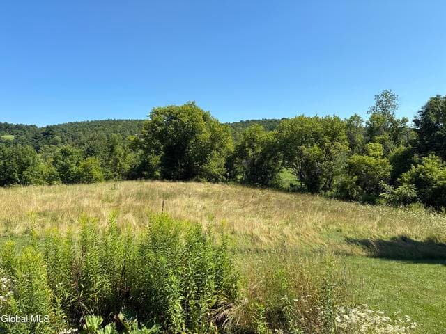 11 Easy Street, Hoosick Falls, NY, photo 5