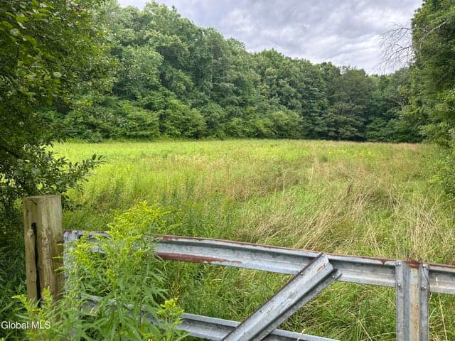 Lot 70 Richmond Road, Chatham, NY, photo 1