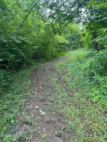 Lot 70 Richmond Road, Chatham, NY, photo 4