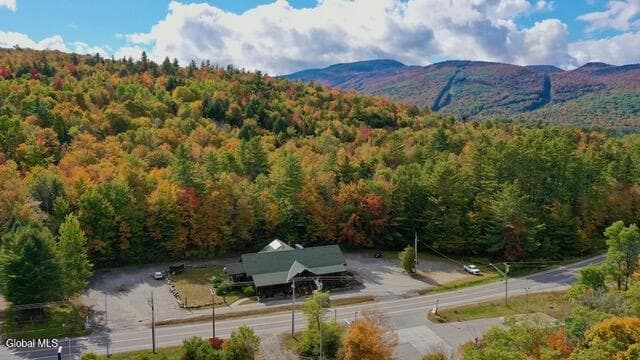 3195 NY-28, Johnsburg, NY