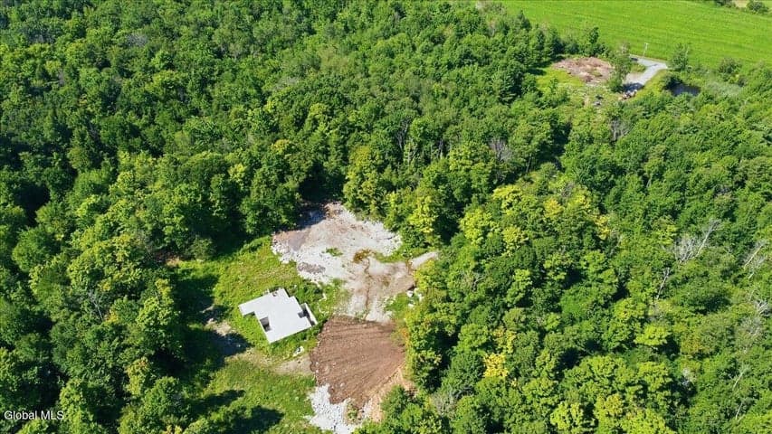 585 N Knight Road, Delanson, NY, photo 3
