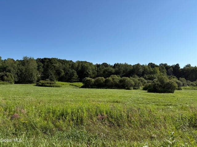 L3.111 Esperance Road, Charleston, NY, photo 1