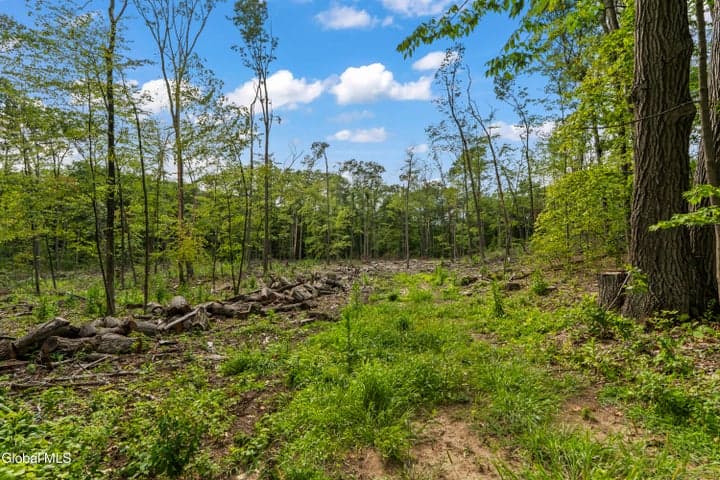 226 Woodin Road, Clifton Park, NY, photo 4