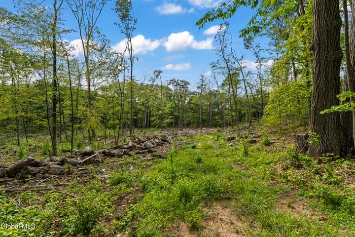 228 Woodin Road, Clifton Park, NY, photo 4