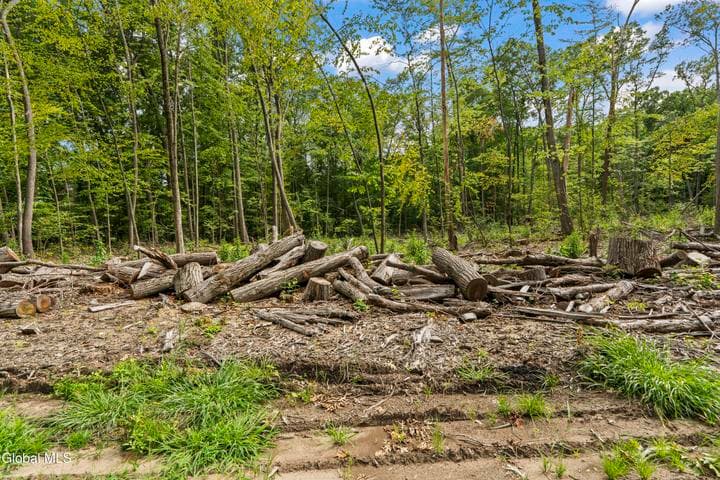 232 Woodin Road, Clifton Park, NY, photo 5