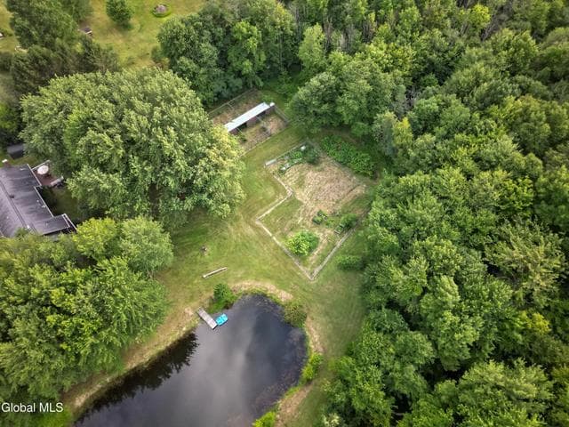 4163 Jockey Street, Charlton, NY, photo 3