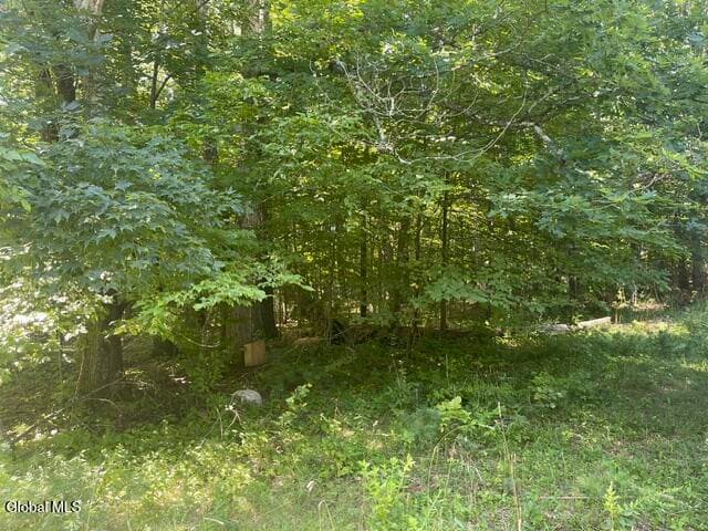 171 Woodland Drive, Cairo, NY, photo 3