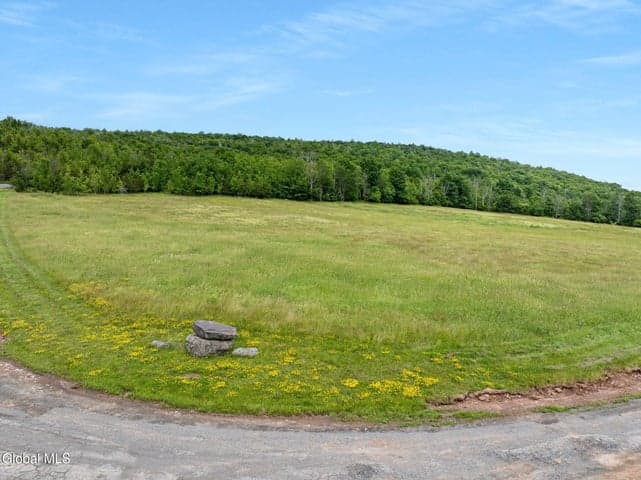 L10 Overlook Drive, Lexington, NY, photo 3