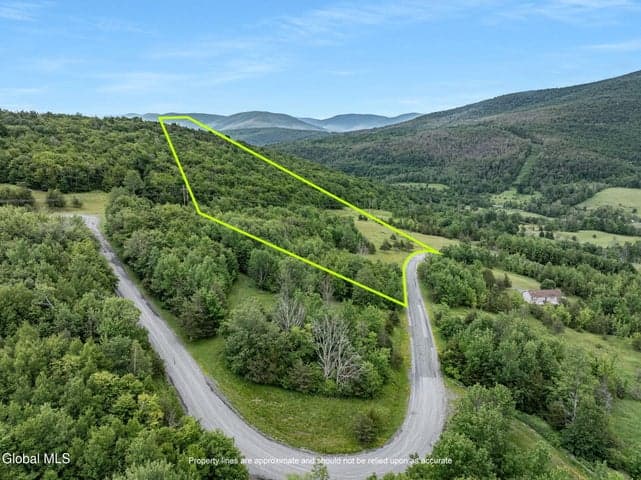 L19.2 Overlook Drive, Lexington, NY