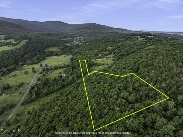 L20.2 Overlook Drive, Lexington, NY
