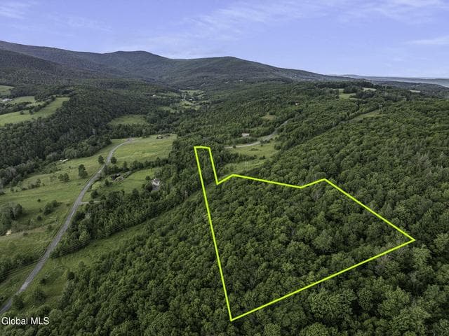 L20.2 Overlook Drive, Lexington, NY, photo 2