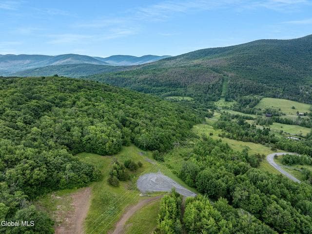 L20.2 Overlook Drive, Lexington, NY, photo 4