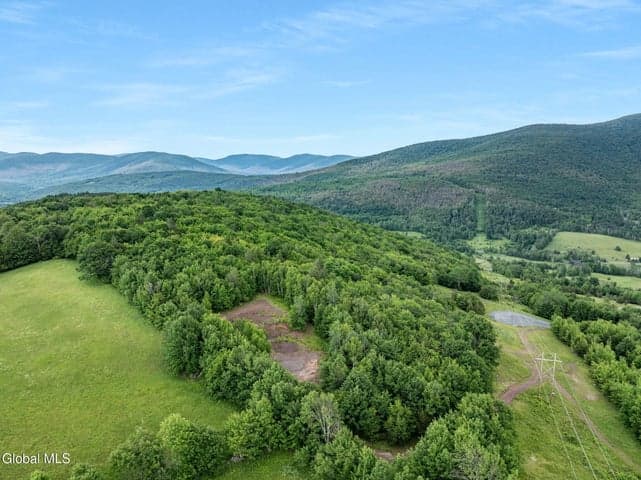 L20.2 Overlook Drive, Lexington, NY, photo 5