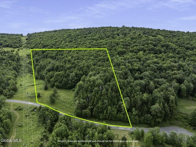 L28.1 Deer Lane, Lexington, NY