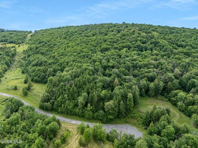 L28.1 Deer Lane, Lexington, NY, photo 3