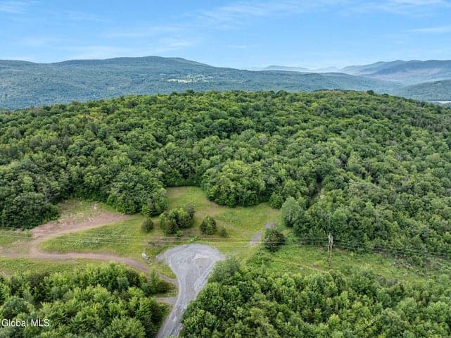 L28.1 Deer Lane, Lexington, NY, photo 4