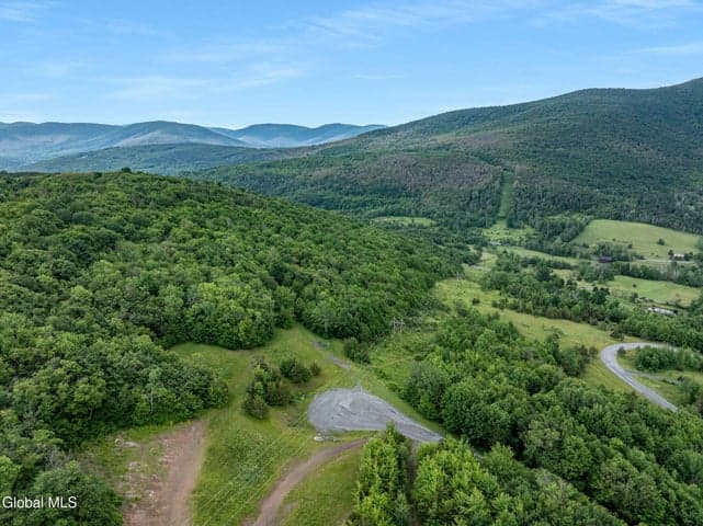 L28.1 Deer Lane, Lexington, NY, photo 5