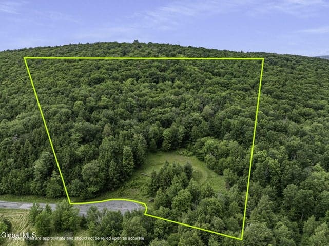 L28.2 Deer Lane, Lexington, NY