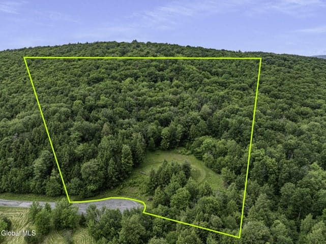 L28.2 Deer Lane, Lexington, NY, photo 2