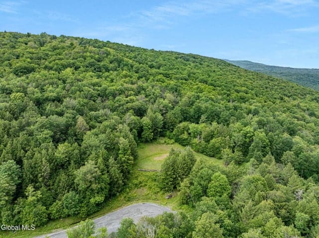 L28.2 Deer Lane, Lexington, NY, photo 3
