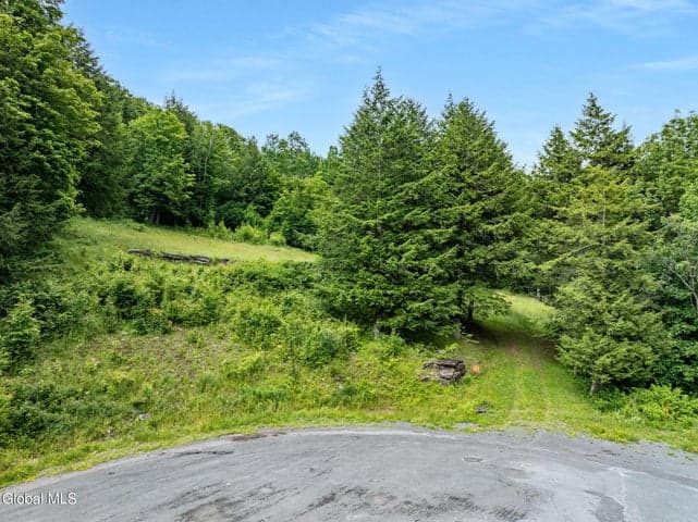 L28.2 Deer Lane, Lexington, NY, photo 4