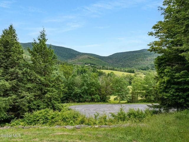 L28.2 Deer Lane, Lexington, NY, photo 5