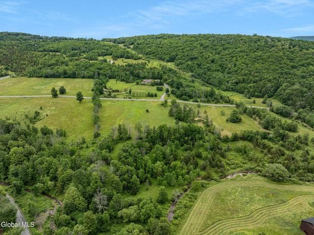 L31 Deer Lane, Lexington, NY, photo 3