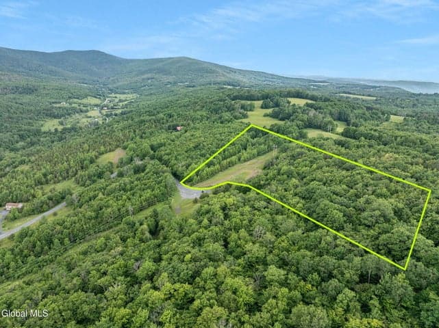 L36 Overlook Drive, Lexington, NY, photo 2