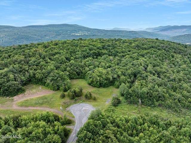 L39 Overlook Drive, Lexington, NY, photo 3