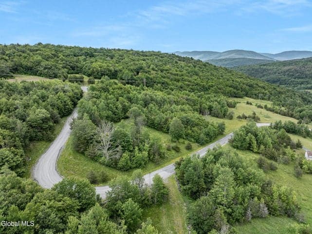 L40 Overlook Drive, Lexington, NY