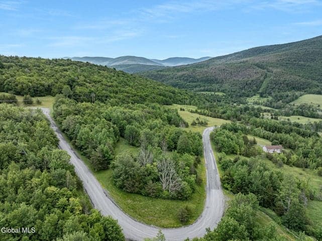 L40 Overlook Drive, Lexington, NY, photo 2