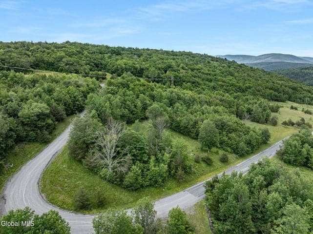 L40 Overlook Drive, Lexington, NY, photo 3