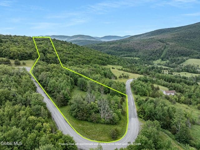 L41 Overlook Drive, Lexington, NY