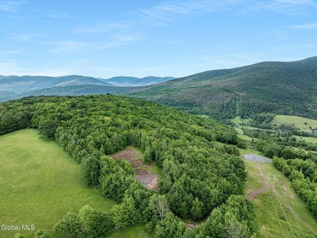L41 Overlook Drive, Lexington, NY, photo 5
