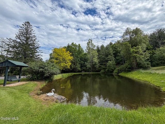 221 Camp Medusa Road, Rensselaerville, NY, photo 5