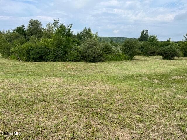 L14.411 01 Ennis, Princetown, NY