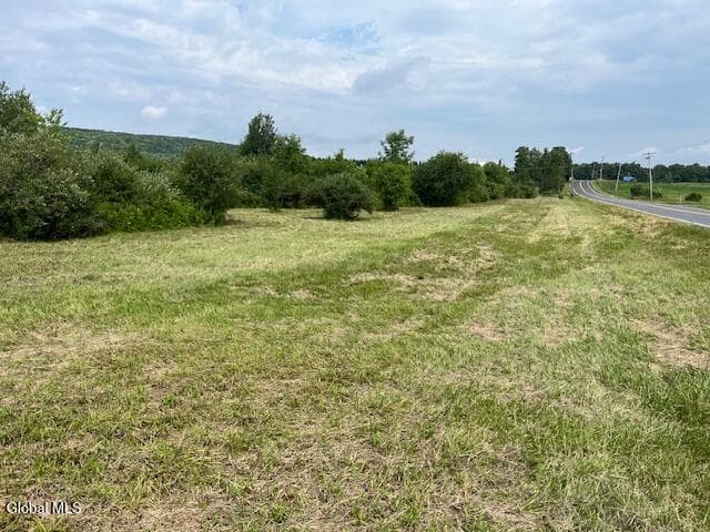 L14.411 01 Ennis, Princetown, NY, photo 2