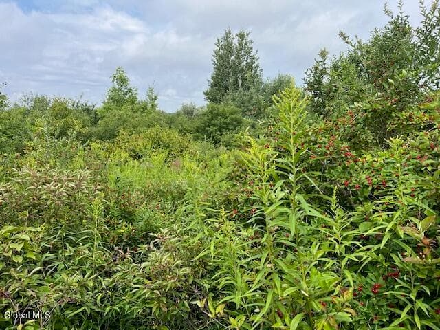 L14.411 01 Ennis, Princetown, NY, photo 3