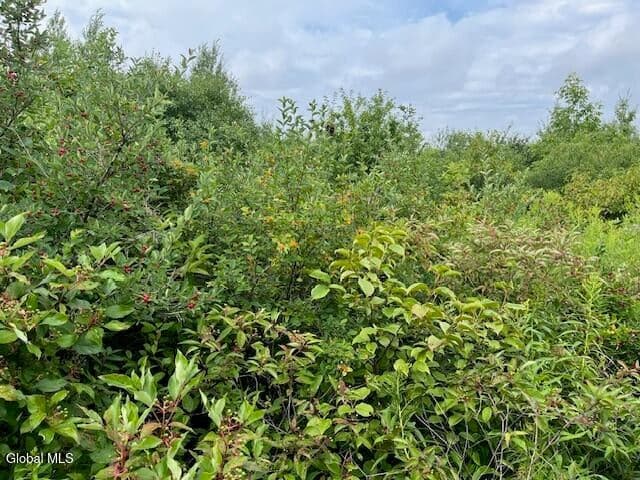 L14.411 01 Ennis, Princetown, NY, photo 4