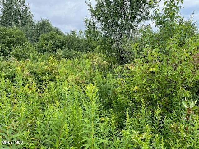 L14.411 01 Ennis, Princetown, NY, photo 5