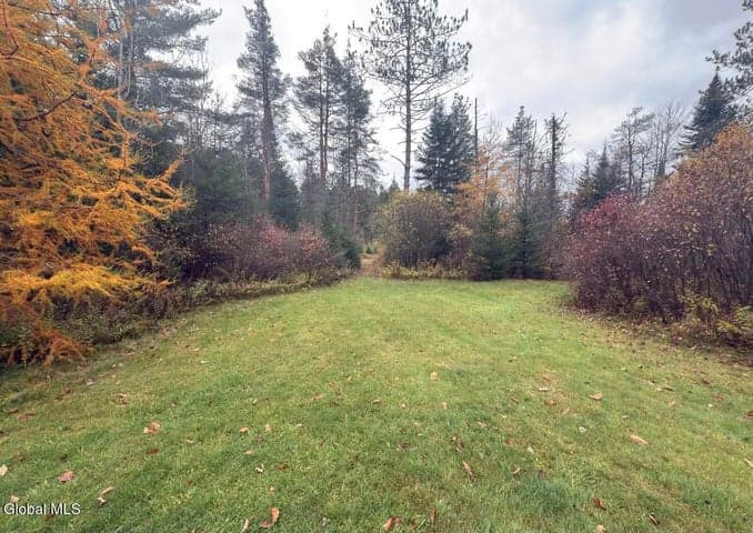 260 NYS RT 8, Morehouse, NY, photo 2