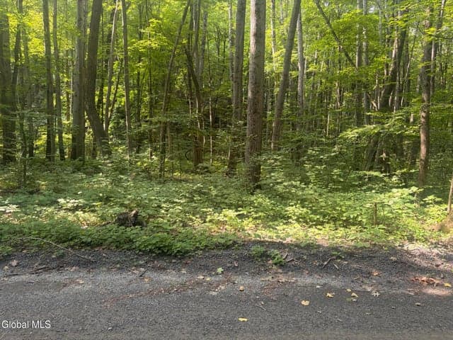 L10.4 Saunders Road, Argyle, NY, photo 2
