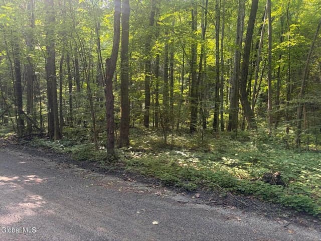 L10.4 Saunders Road, Argyle, NY, photo 3