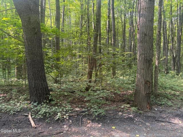 L10.4 Saunders Road, Argyle, NY, photo 5