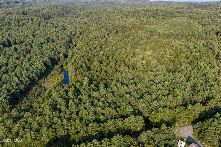 L53 Potter Hollow Road, Providence, NY, photo 4