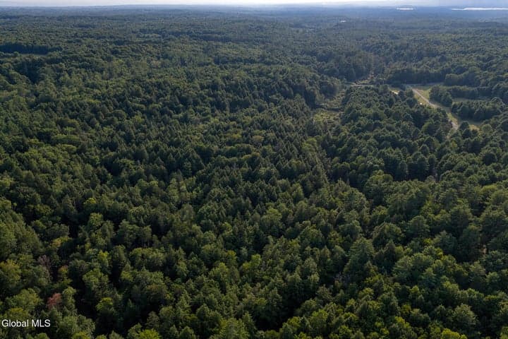 L53 Potter Hollow Road, Providence, NY, photo 5