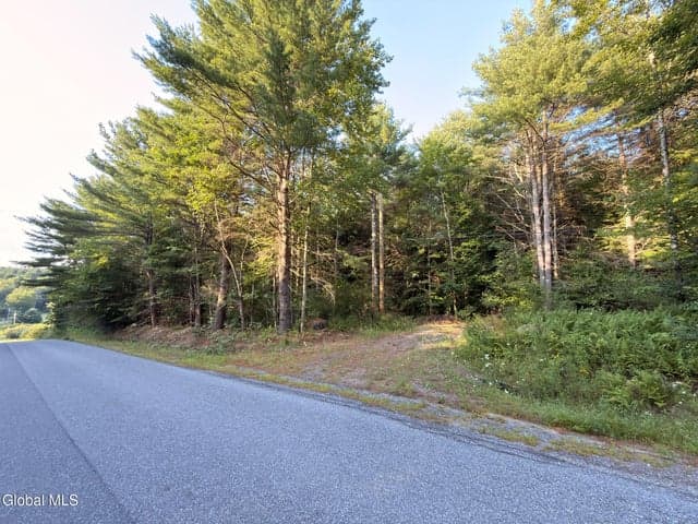 L53 Potter Hollow Road, Providence, NY, photo 2