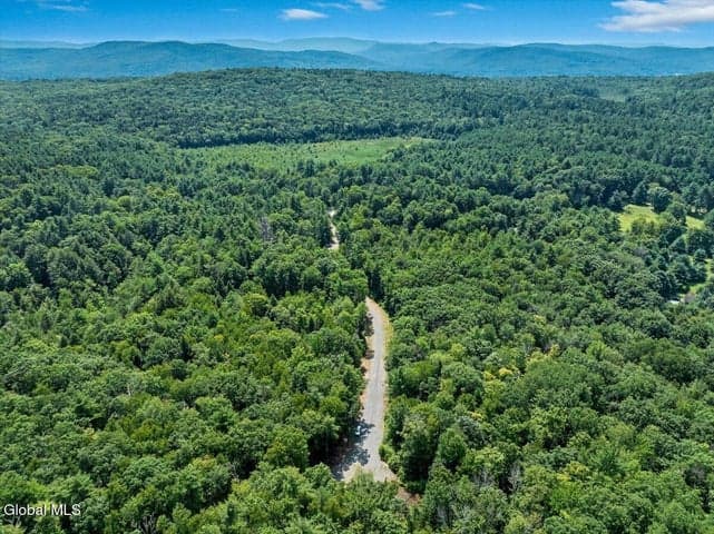 14 Jasmine Road, Stephentown, NY, photo 4