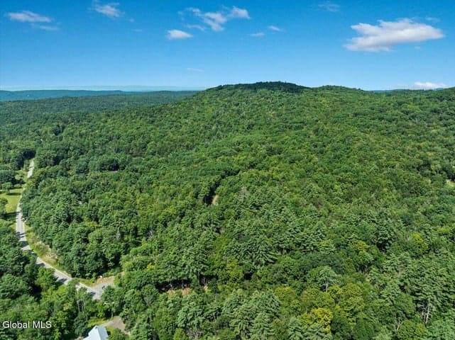 14 Jasmine Road, Stephentown, NY, photo 5
